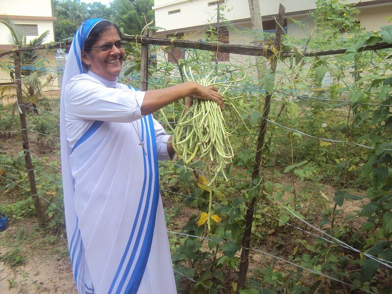 പ്രമാണം:Jaivakrishi 15 35052 (4).JPG