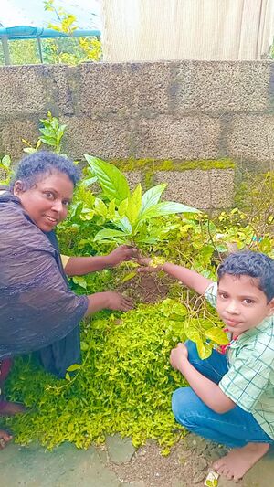 June environmental day.jpg