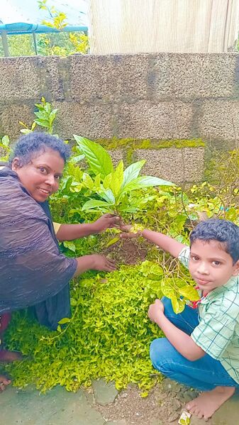 പ്രമാണം:June environmental day.jpg