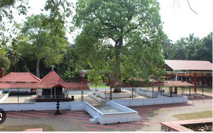 KALIYATTAKAVU.png