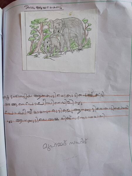 പ്രമാണം:12221MUHAMMED SAHID.jpg