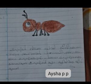 14721-KNR-KUNJ-AYSHA P P.jpg