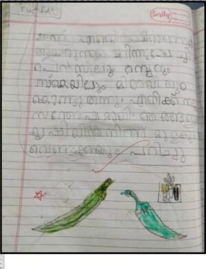 17520-KKD-KUNJ-Muhammed Radin.jpeg