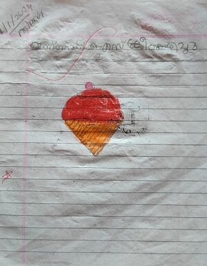 19830-MLP-KUNJ-AYISHA RENA.jpg