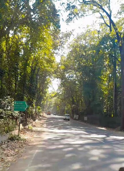 പ്രമാണം:22058 kfri.jpg