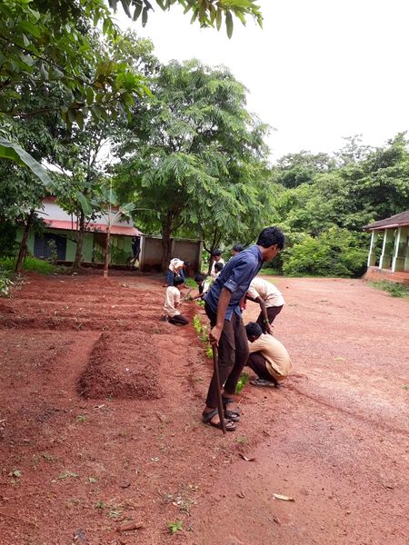 പ്രമാണം:24070-കൃഷി പരിപാലനം (ജൈവവേലി).jpg