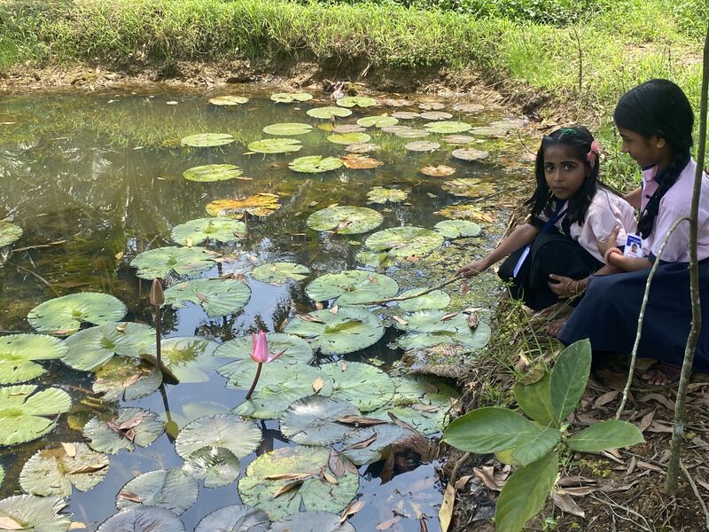 പ്രമാണം:25641 Field trip.jpg