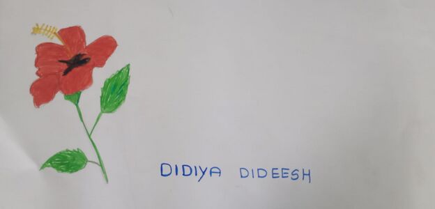 didiya,class1