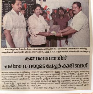 36053paper carrybag.jpeg