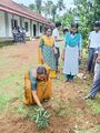 20:09, 12 ജൂൺ 2026-ലെ പതിപ്പിന്റെ ലഘുചിത്രം