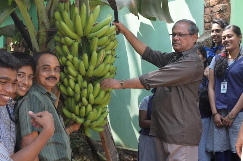 പ്രമാണം:44019 1003.jpg