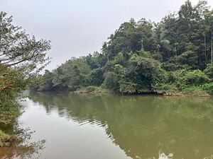 47463 cherupuzha.jpeg