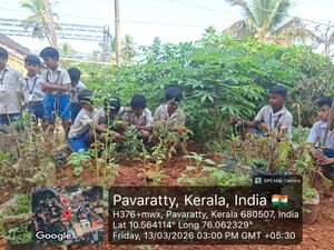 ADUKKALA THOTTAM.jpeg