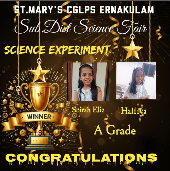 പ്രമാണം:BS21 EKM 26220 30.jpeg