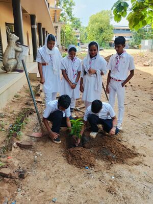 Environment day 24-25.jpeg