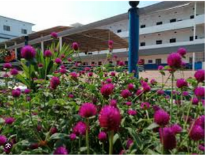 12038 SCHOOL GARDEN.png