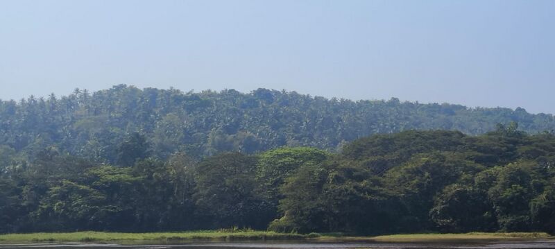 പ്രമാണം:17303 pic 5.jpeg