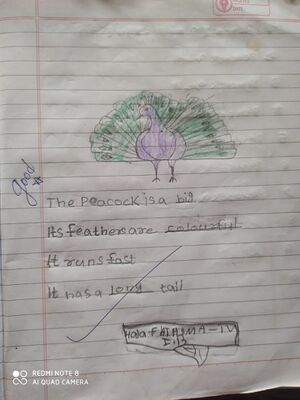 19811-MLP-KUNJ-HALA FATHMA TV.jpeg