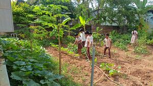 21210 gmlps veg garden2024.resized.jpg