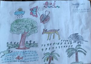 21302-PKD-KUNJ-ARDRA M 3.jpg