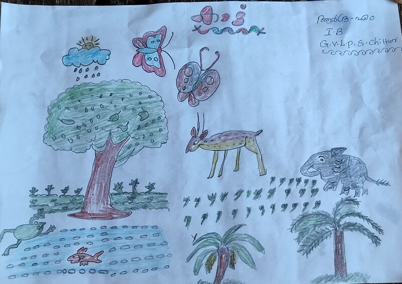 പ്രമാണം:21302-PKD-KUNJ-ARDRA M 3.jpg