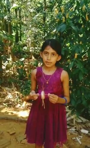 29312 experiment4.jpeg