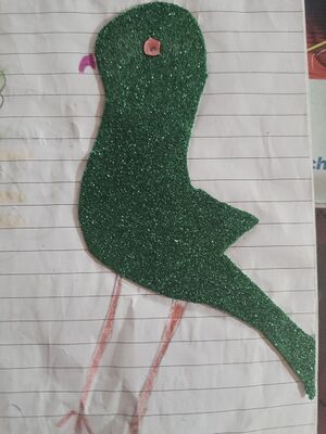 33359 KTM KUNJ SANJAY.jpg