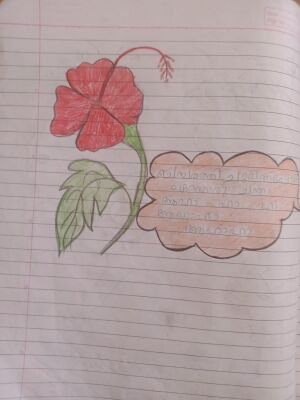 34304-ALP-KUNJ-MUHAMMAD FAIZAN.jpeg