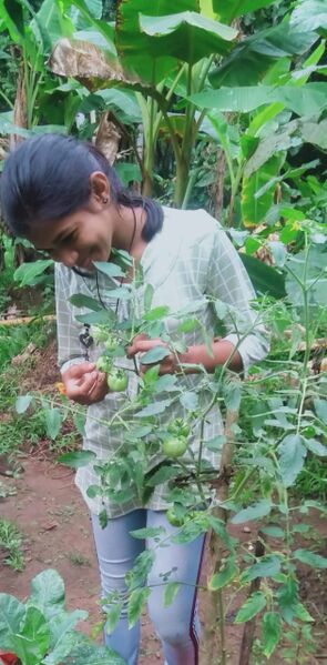 പ്രമാണം:37001 ld13.jpeg