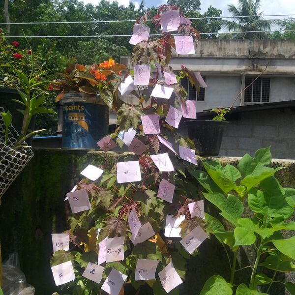 പ്രമാണം:44068 132.jpeg