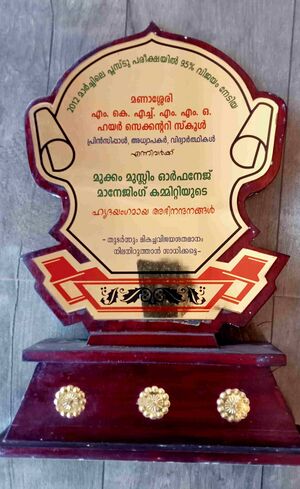 47089 hss momento1.jpg