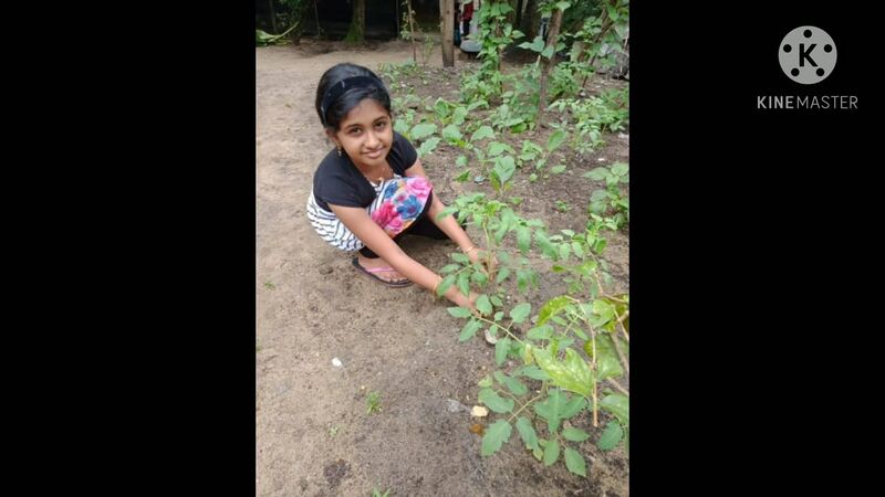 പ്രമാണം:Eco32 43065.jpeg