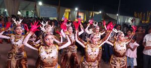 Ssk2025 Mohankumar-MT Tvm-kalolsavakazhchakal21.jpg