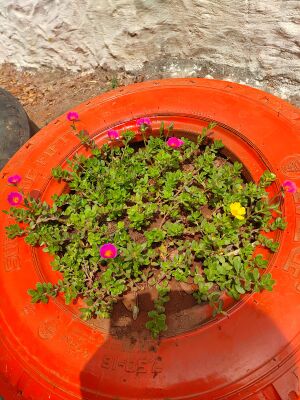 WhatsApp Image 2022-03-10 at 11.34.42 PM.jpg