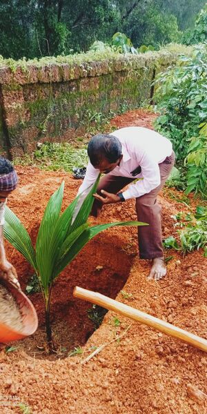 പ്രമാണം:11411-KGD-KITCHEN GARDEN3.jpeg