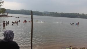 11453-swim4.jpeg