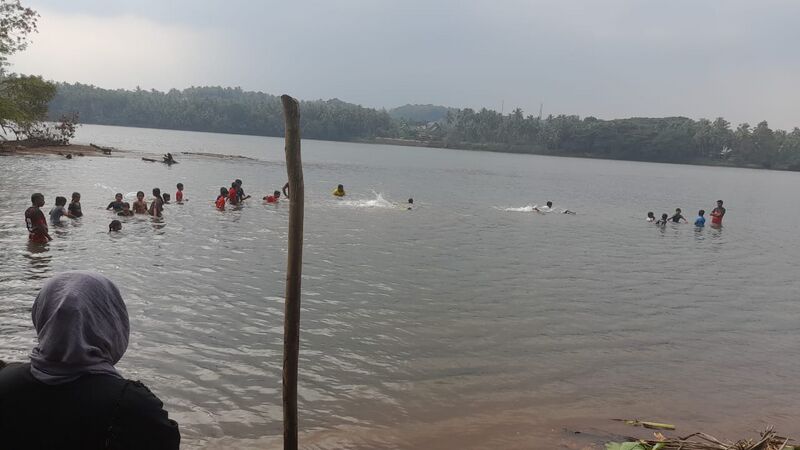 പ്രമാണം:11453-swim4.jpeg