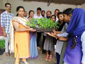 15086 adukkalathottam.jpg