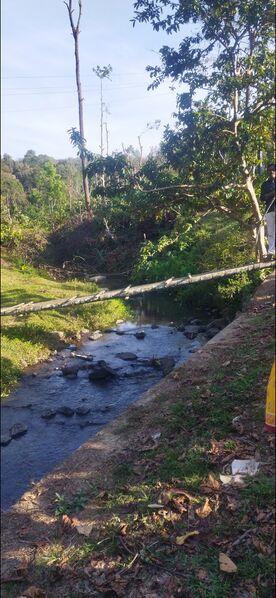 പ്രമാണം:15337 kakkadam1.jpg