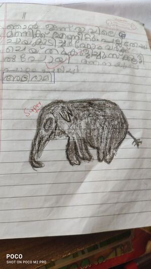 18211-MLP-ABHIRAMI (1).jpg