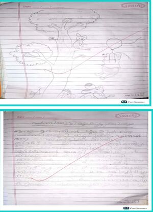 18747-MLP-KUNJ-AHMAD ZAYAN.jpg