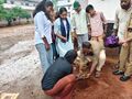 19:54, 14 ജൂൺ 2026-ലെ പതിപ്പിന്റെ ലഘുചിത്രം