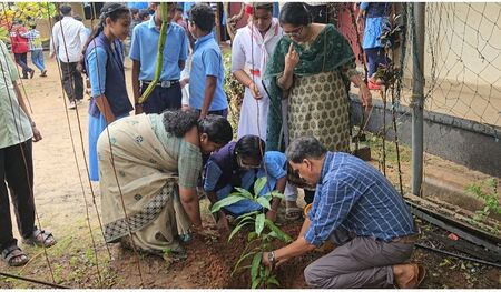 പരിസ്ഥിതി ദിനം