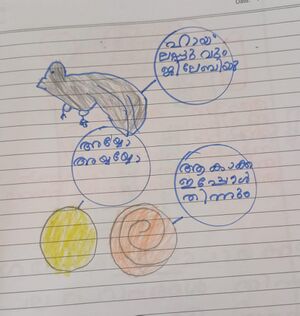 23304-TSR-KUNJ-SRINTHA KS.jpg