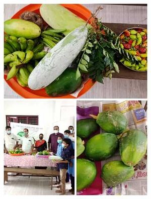 24029 NALLAPADAM 5.jpeg