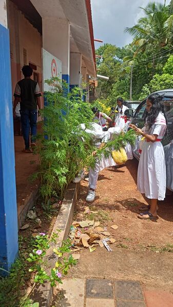 പ്രമാണം:42050 jrc 10.jpg