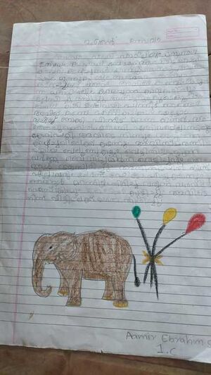 42653,Amir ibrahim,1C.jpg