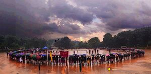 48049 Activities.jpg