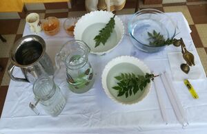 BS21 EKM 27026 5.jpg