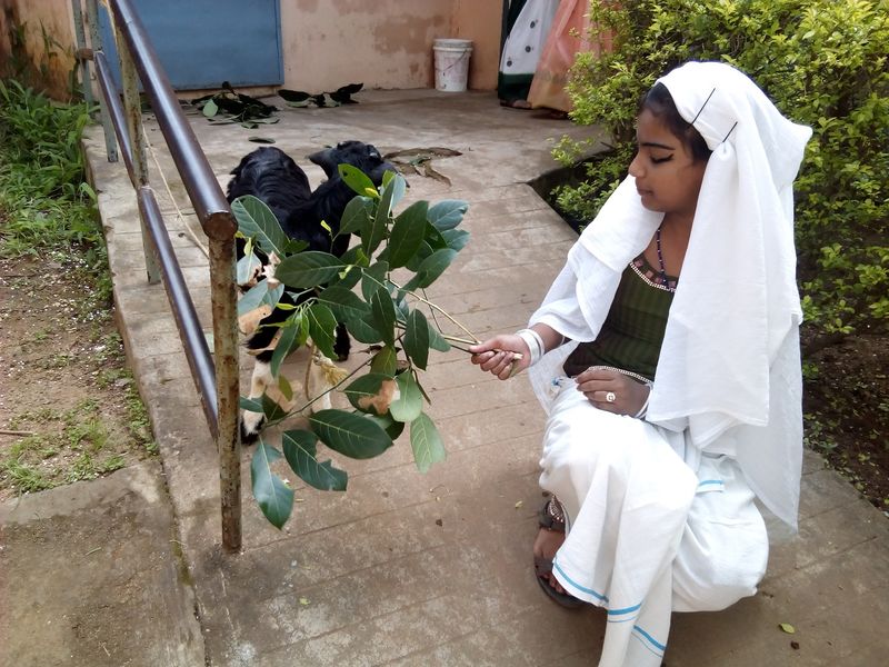 പ്രമാണം:Basheer 2.jpg